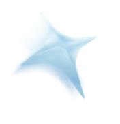 Star Top